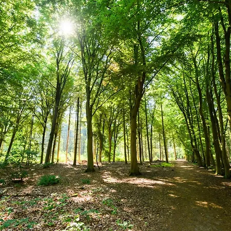 Apartament Center Fast Wi-fi, Designer Bathroom