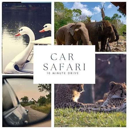 Center Fast Wi-fi, Designer Bathroom Tilburg