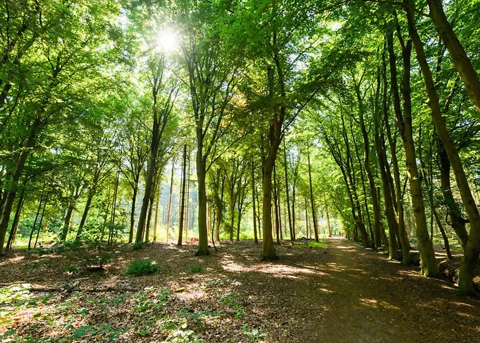 Apartament Center Fast Wi-fi, Designer Bathroom